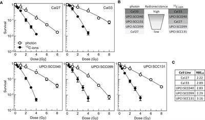 IL1 Pathway in HPV-Negative HNSCC Cells Is an Indicator of Radioresistance After Photon and Carbon Ion Irradiation Without Functional Involvement